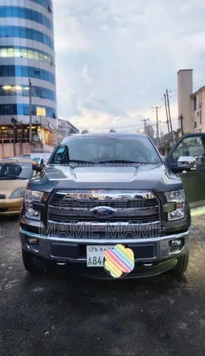 Ford F-150 2015 Gray