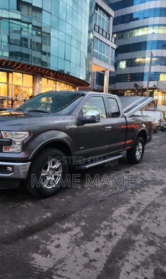Ford F-150 2015 Gray