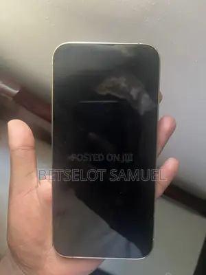 Apple iPhone 13 Pro Max 256 GB Silver