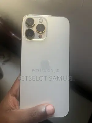 Apple iPhone 13 Pro Max 256 GB Silver