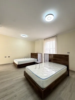 Furnished 3bdrm Apartment in Bole for rent