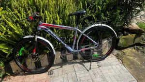 Bike Phoenix