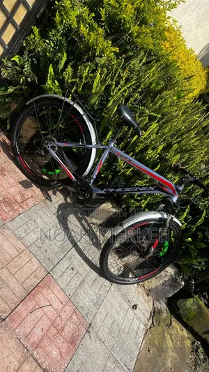 Bike Phoenix