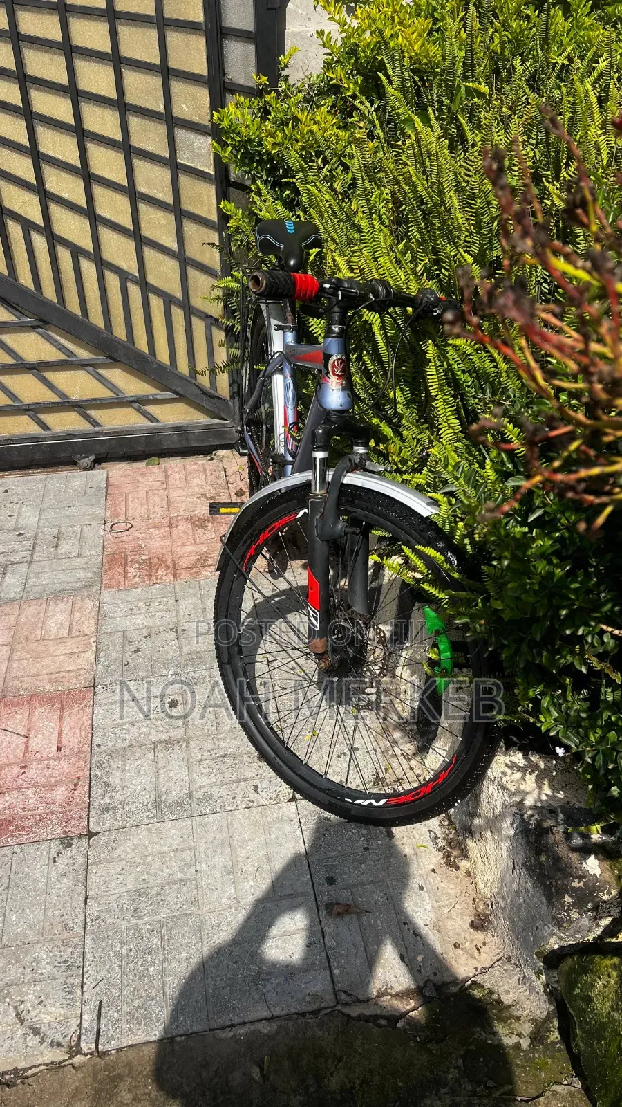 Bike Phoenix