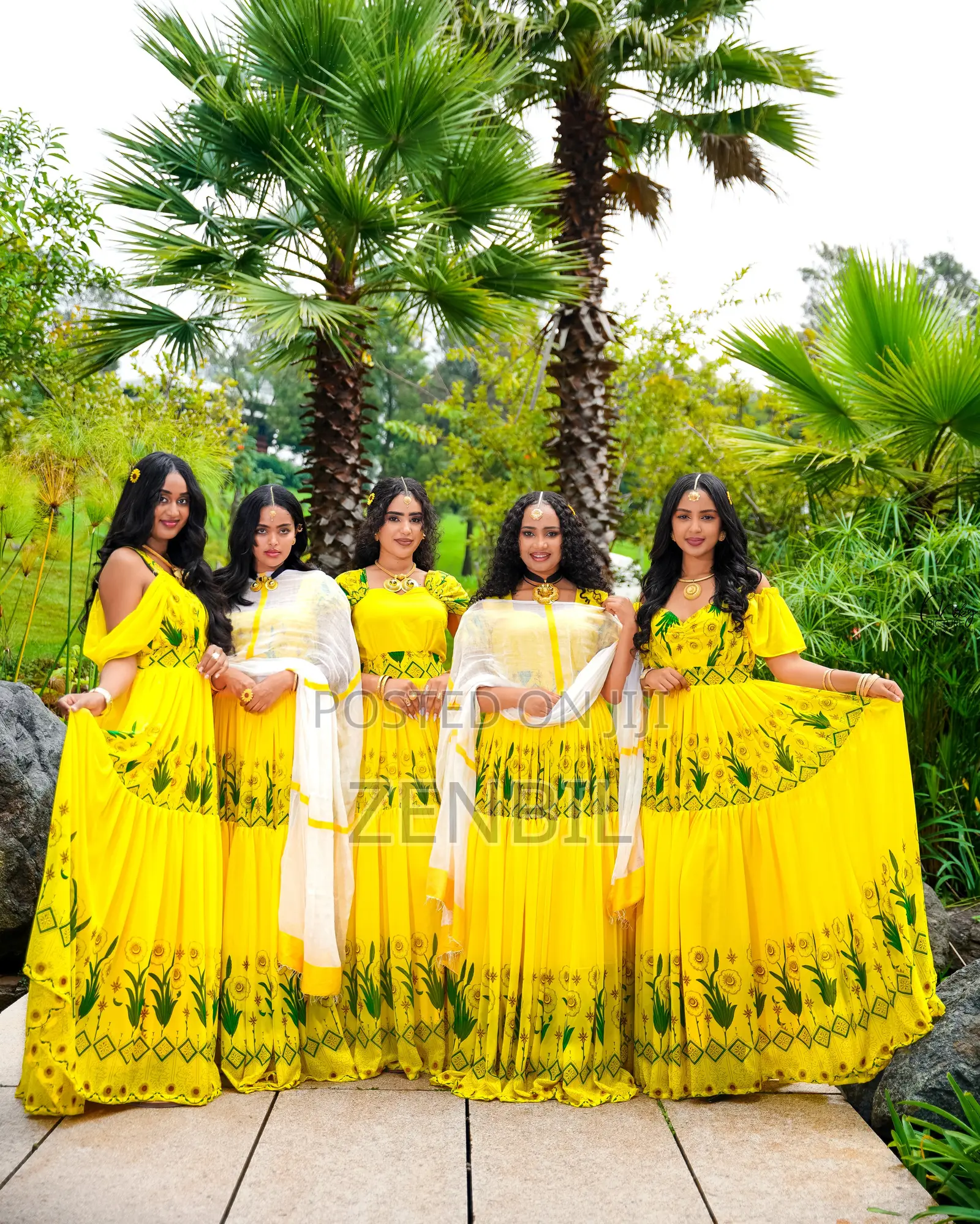 ለአዲስ ዓመት የተዘጋጁ ቢጫ የኣደይ ኣበባ ሺፎኖች