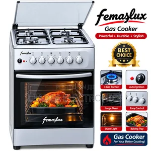 Femaslux Freestanding Oven 50×50 – Powerful, Practical Stylish Oven