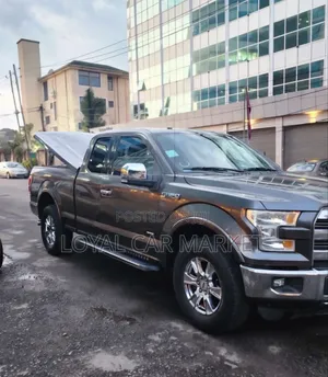 Ford F-150 2015 Gray