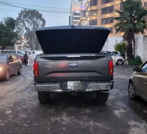 Ford F-150 2015 Gray