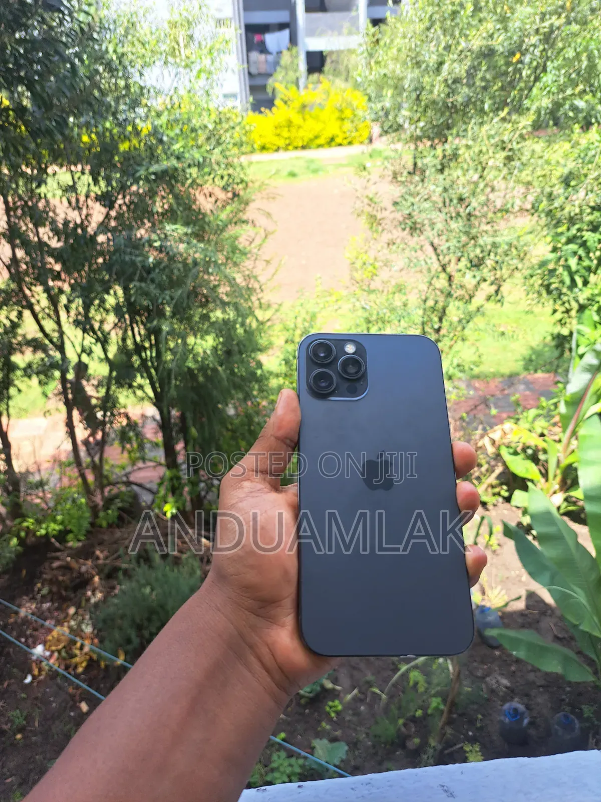 Apple iPhone 12 Pro Max 256 GB Blue