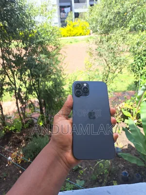 Apple iPhone 12 Pro Max 256 GB Blue