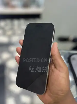 Apple iPhone 15 Pro Max 1 TB Silver