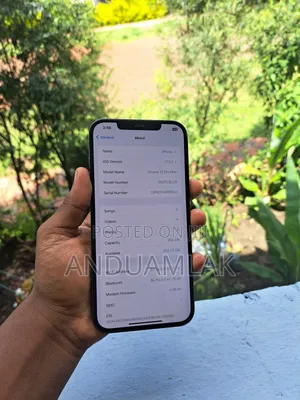Apple iPhone 12 Pro Max 256 GB Blue