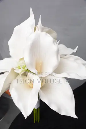 Bridal Flower