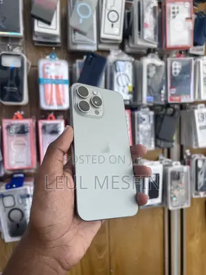 Apple iPhone 15 Pro Max 256 GB Silver