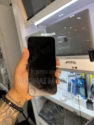 Apple iPhone 15 Pro Max 256 GB Silver