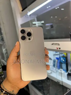 Apple iPhone 15 Pro Max 256 GB Silver