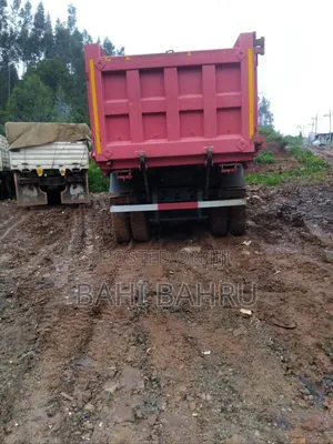 Sino Dimptruck for Sale