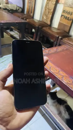 Apple iPhone 12 Pro 128 GB Black