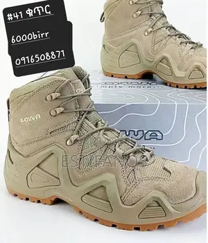 Lowa Shoes