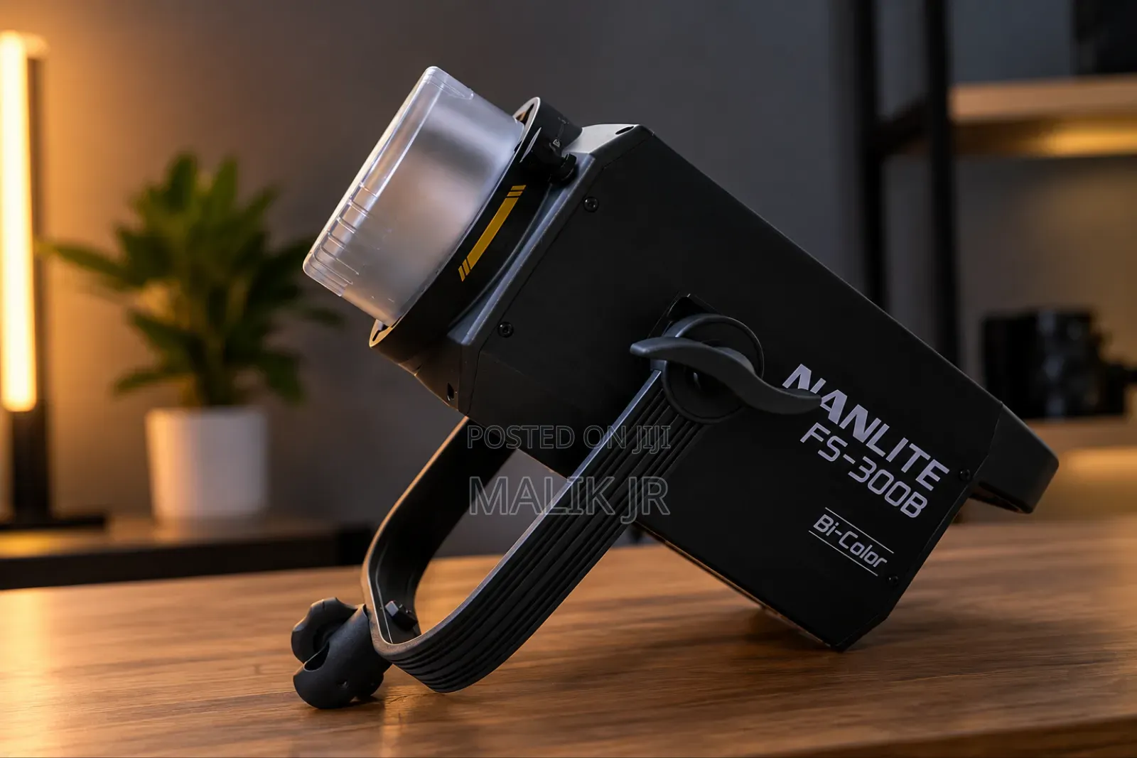Nanlite 300b