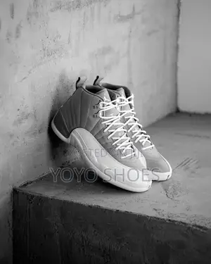 Nike Air Jordan 12 Retro "Stealth" White/Gray