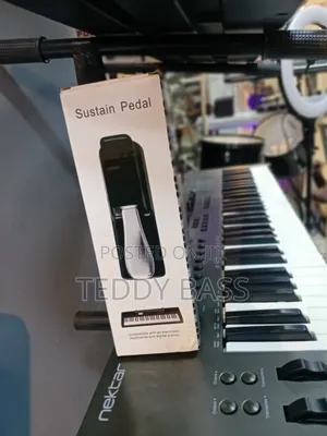 Sustain Pedal