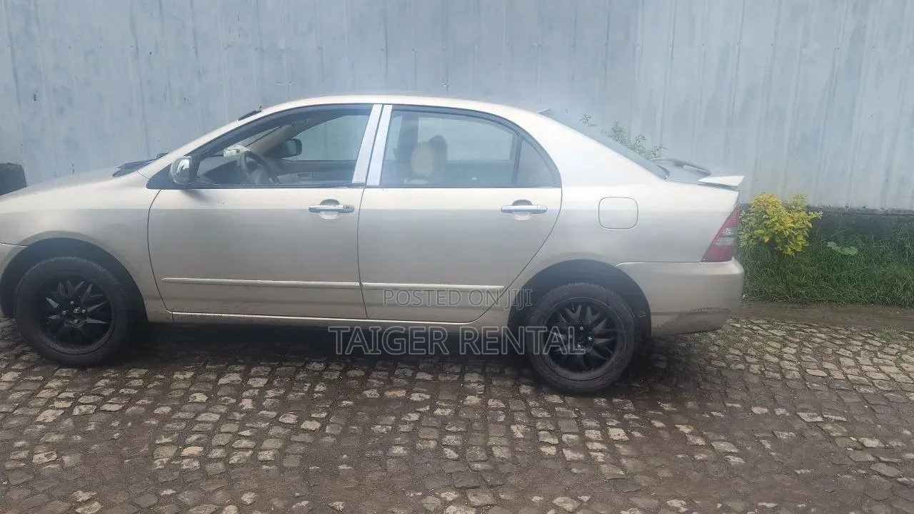 Corolla Manual Rent