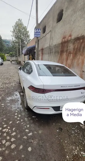 BYD Qin Plus DM-i 2025 White