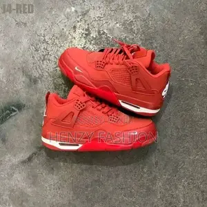 Jordan 4 Bike