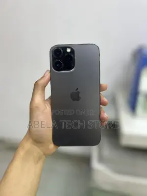 Apple iPhone 13 Pro Max 256 GB Black