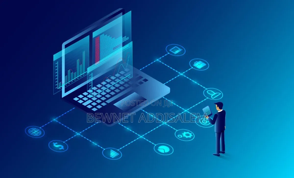Software System