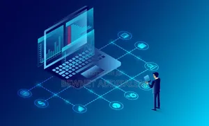 Software System