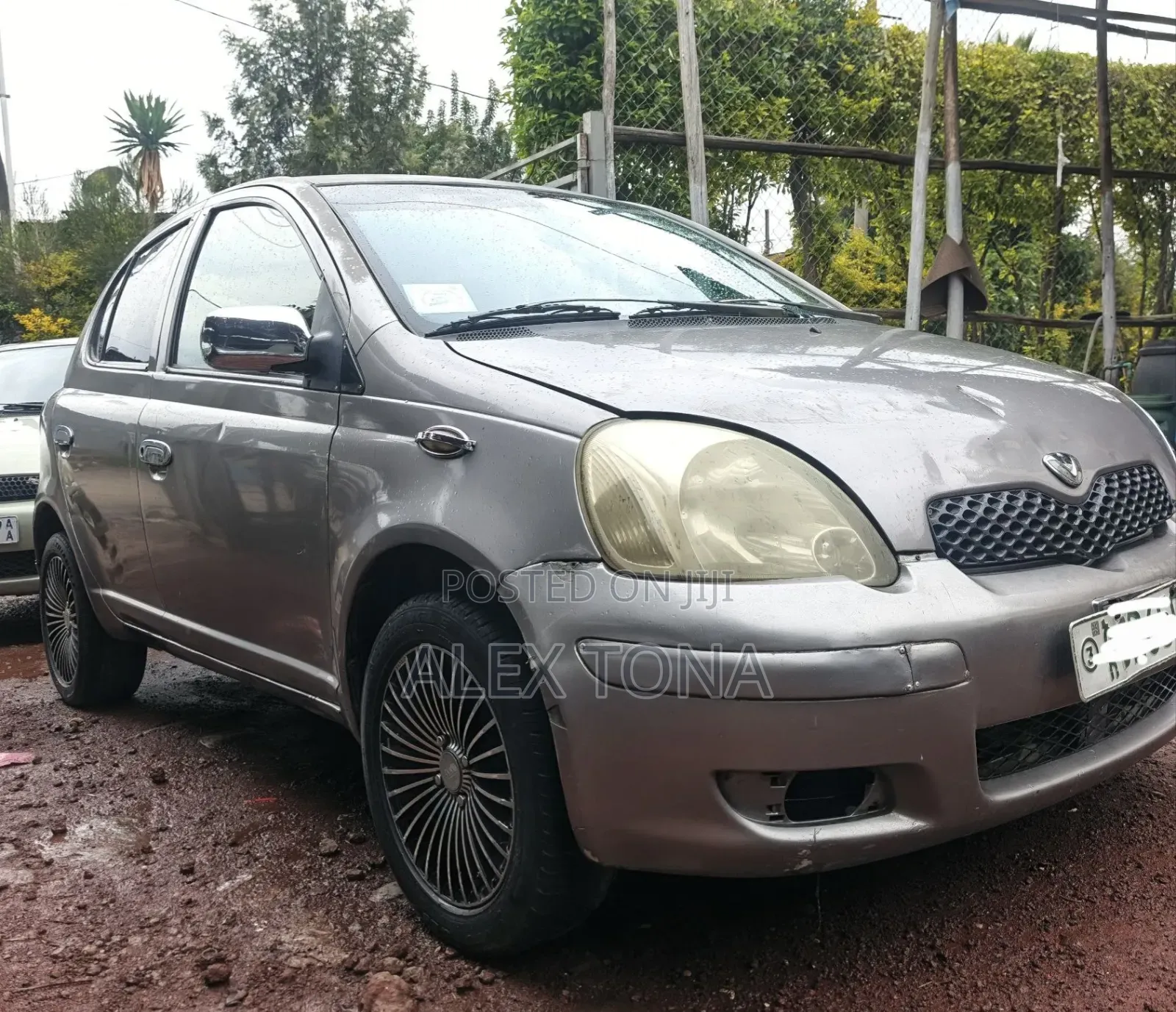 Toyota Vitz 2004 Gold