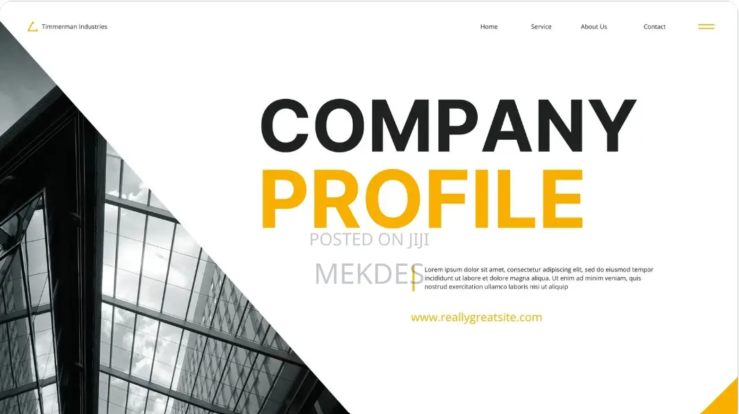 Company Portfolio Website -- 20,000