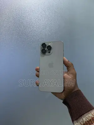 Apple iPhone 15 Pro Max 256 GB Silver