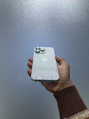 Apple iPhone 15 Pro Max 256 GB Silver