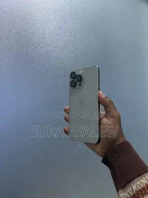 Apple iPhone 15 Pro Max 256 GB Silver
