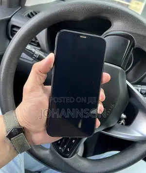 Apple iPhone 12 Pro Max 256 GB Blue