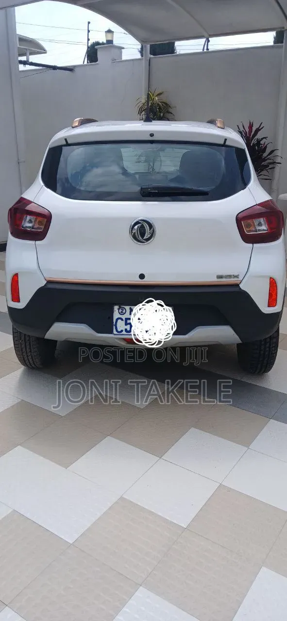 Dongfeng Nammi Box 2024 White