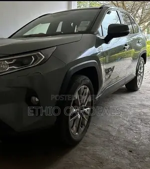 Toyota RAV4 2022 Green