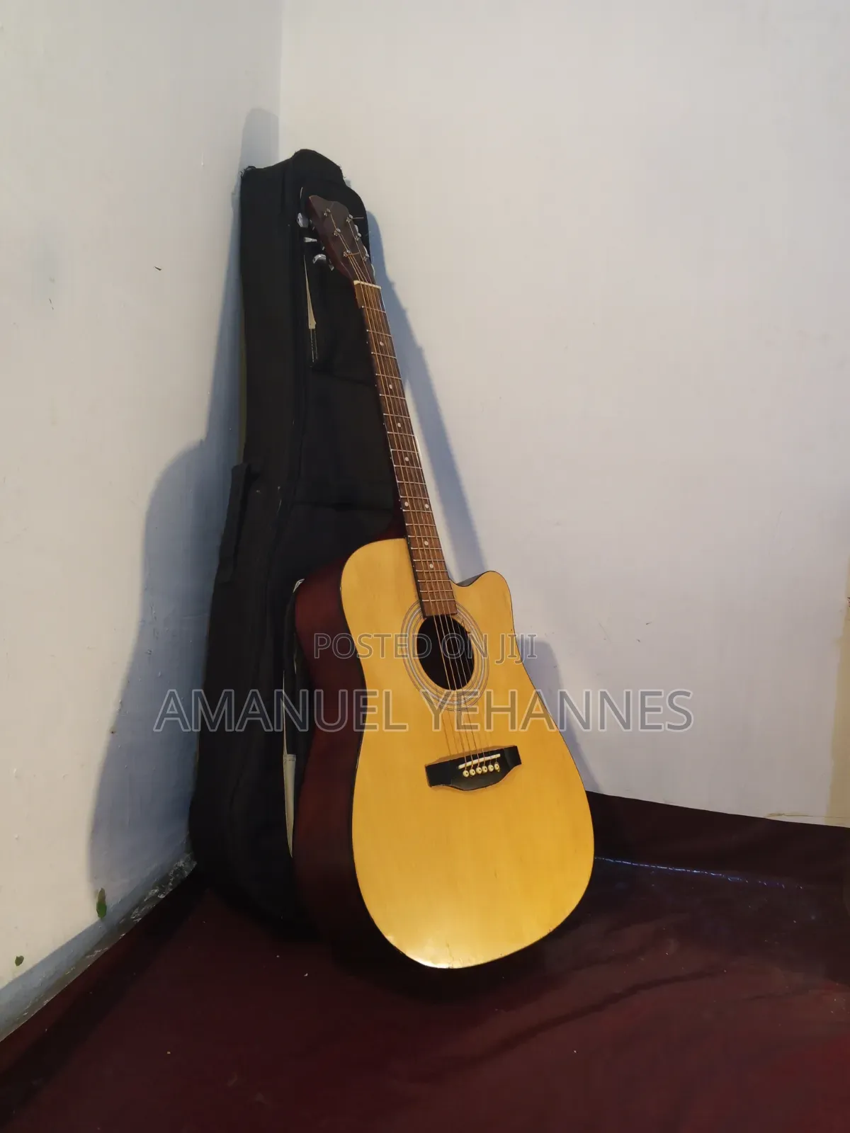 Ibanez PF 20 Acoustic Guitar