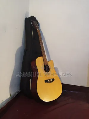Ibanez PF 20 Acoustic Guitar