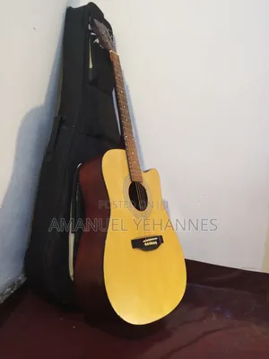 Ibanez PF 20 Acoustic Guitar