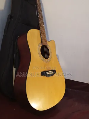 Ibanez PF 20 Acoustic Guitar