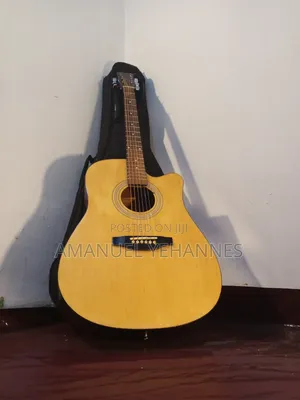Ibanez PF 20 Acoustic Guitar