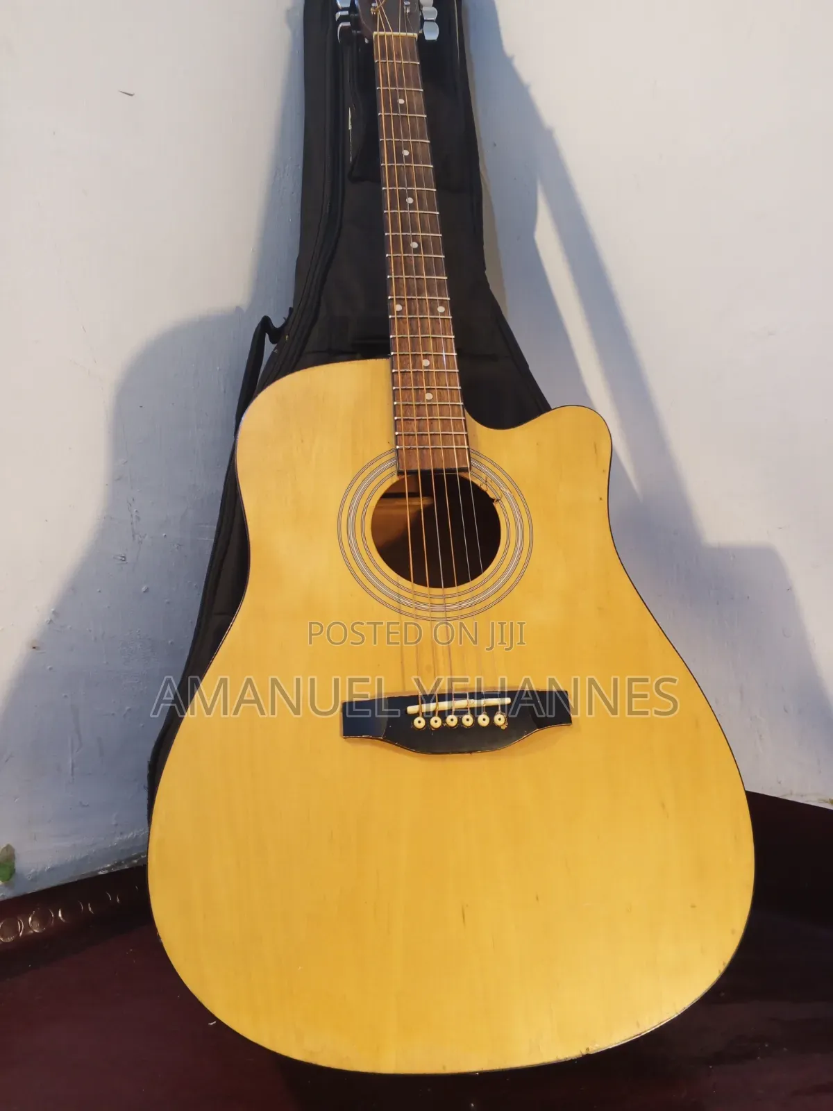 Ibanez PF 20 Acoustic Guitar
