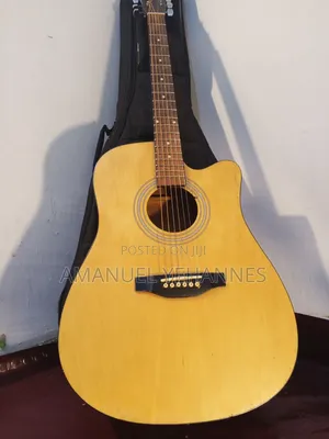 Ibanez PF 20 Acoustic Guitar