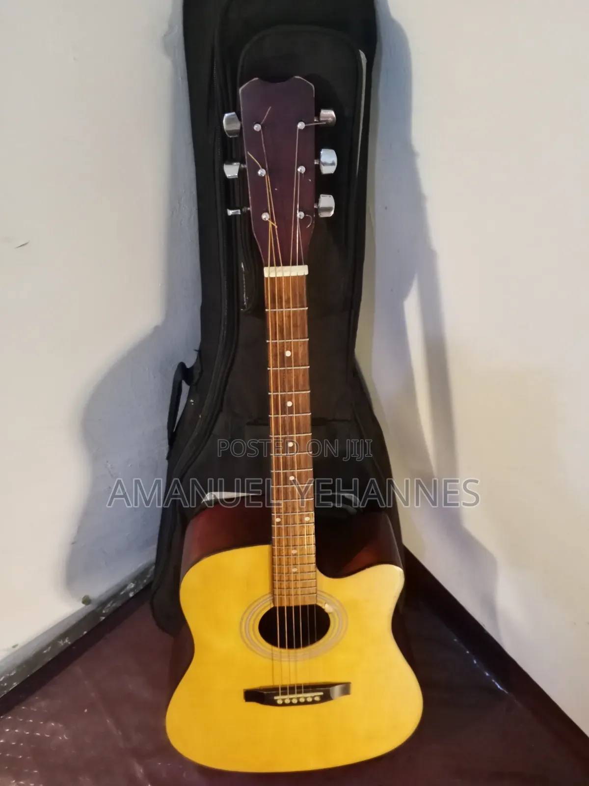 Ibanez PF 20 Acoustic Guitar