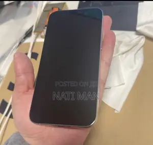 Apple iPhone 15 Pro Max 256 GB Gray