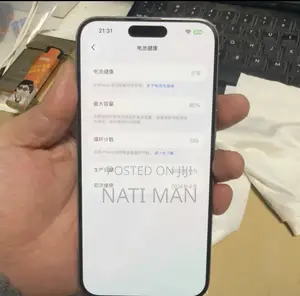 Apple iPhone 15 Pro Max 256 GB Gray